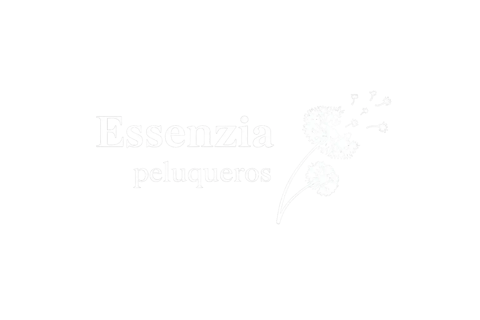 Logo essencia